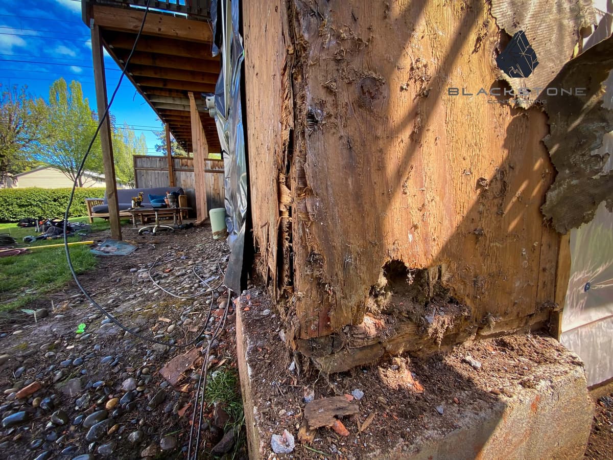 Dry Rot Repairs